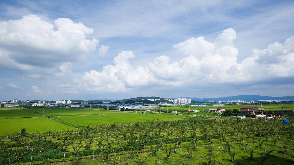 泰安市山东省临沂沂南县农业局采购…